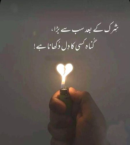 Life Advice image