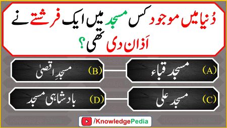 Knowledge Test image