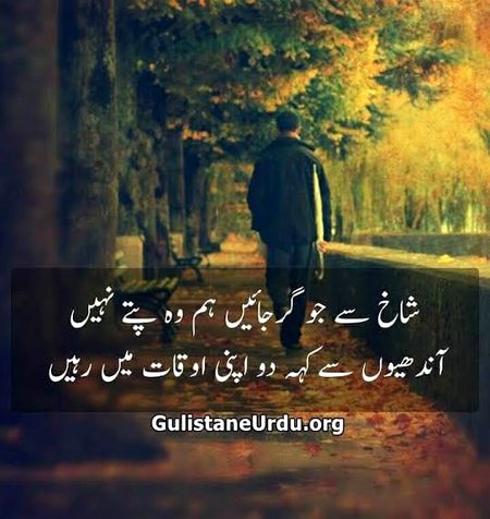 Attitude Quotes image