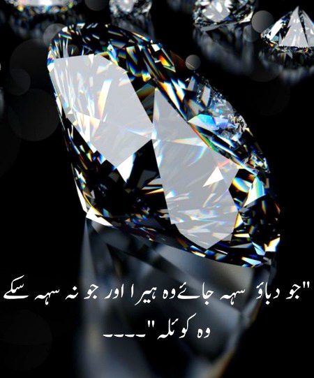 🌹 merijan-16 🌹