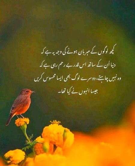 Allah Hafiz 😕😕