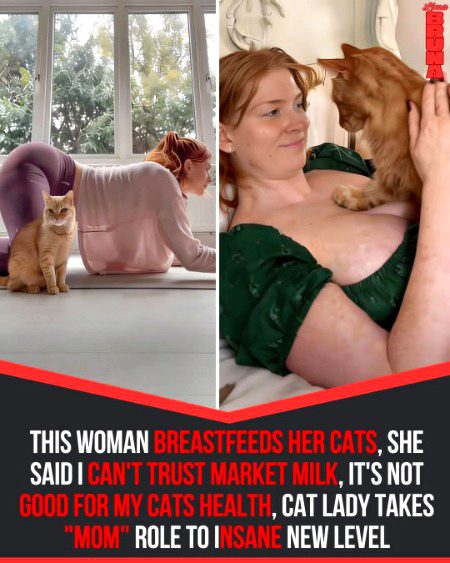 Wow true mother 
Feeding brest milk to cat