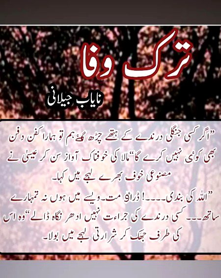 Romantic Poetry image