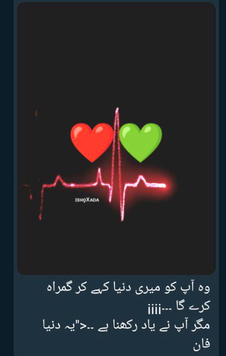 تجھ سے بچھڑے ہیں تو اب ہوش نہیں کب چاند ہوا کب عید ہوئی