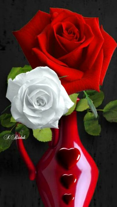 Beautiful Nature image