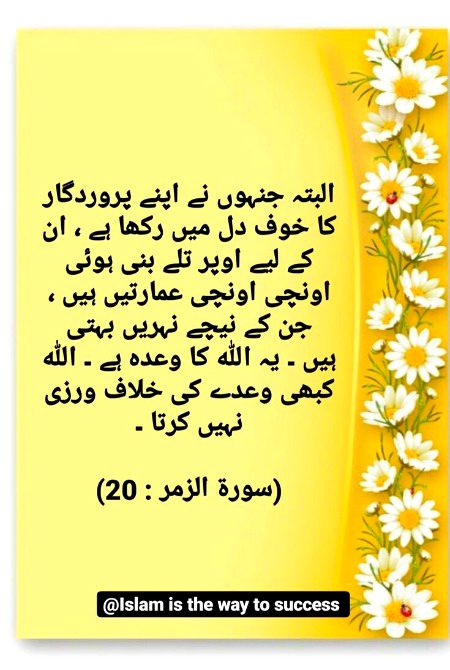 Islamic Quotes image