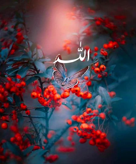 Beautiful Nature image