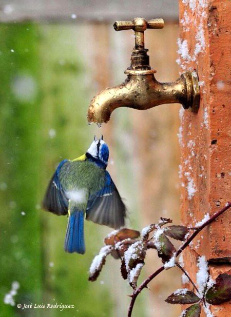 Beautiful Nature image