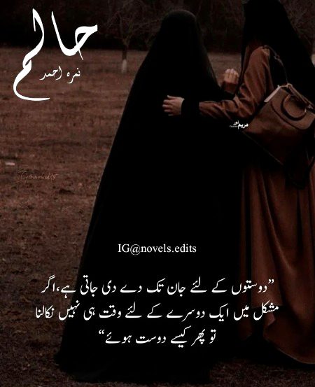 Romantic Novels image