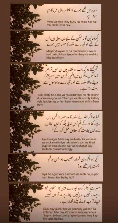 Islamic Quotes image