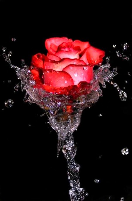 Beautiful Nature image