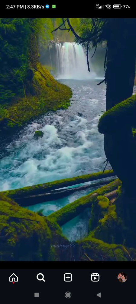 Beautiful Nature image