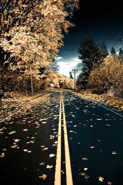 Beautiful Nature image