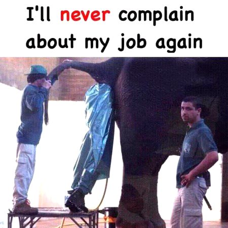 Memes & Satire image