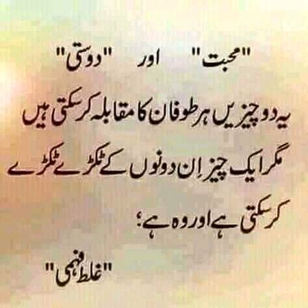 True💓💓💓