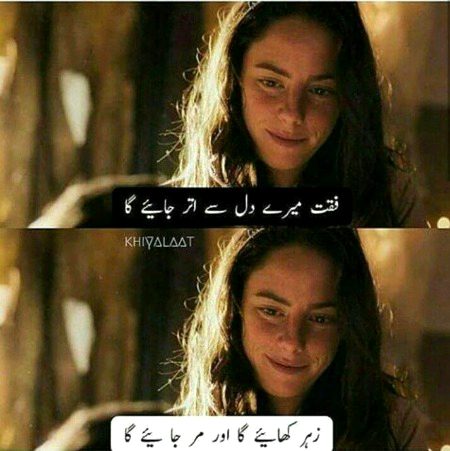 Memes & Satire image