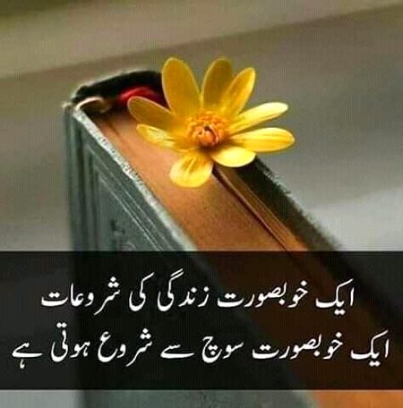 Life Advice image