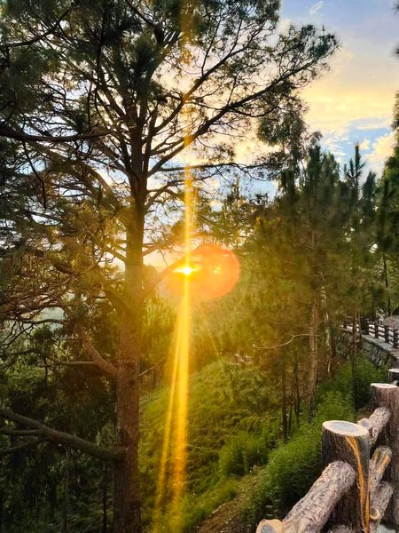 Beautiful Nature image