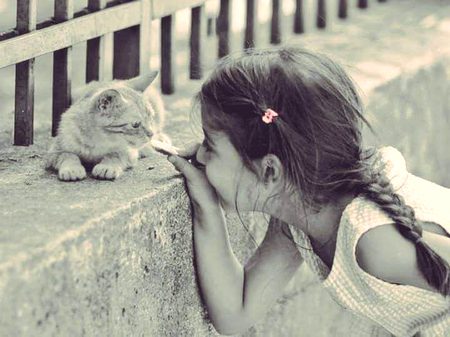 "Suno mano🙂🖤 "
دکانِ حبس میں وہ جالیاں بناتا تھا
گھٹن سے مر گیا جو کھڑکیاں بناتا تھا*
تباہی یہ اُسی پیپل کی بد دعا سے ہے
کہ جس کے سائے میں تُو آریاں بناتا تھا*
تمام خواہشیں تالے لگا کے رکھتا تھا
وہ بے مکاں تھا مگر چابیاں بناتا تھا*
کھلا کے زہر جسے زائقے کا پوچھا گیا
کبھی مٹھاس بھری ٹافیاں بناتا تھا*
جو صبع تین بجے مر گیا خاموشی سے
پتا چلا کہ وہی سیٹیاں بناتا تھا 
🖤