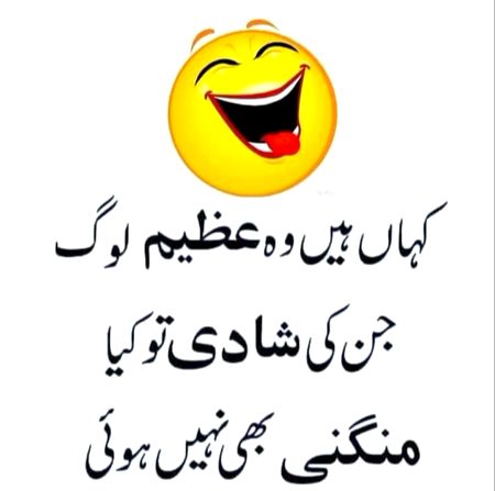 Memes & Satire image