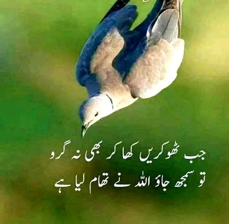 Beshak subhanALLAH❤️❤️❤️