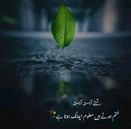 *فقط کچھ دنوں کی بات ہے ہم آپ کو کہیں بھی کبھی بھی میسر نہیں ہونگے"💔🙂*😔😔😔😔😔😔