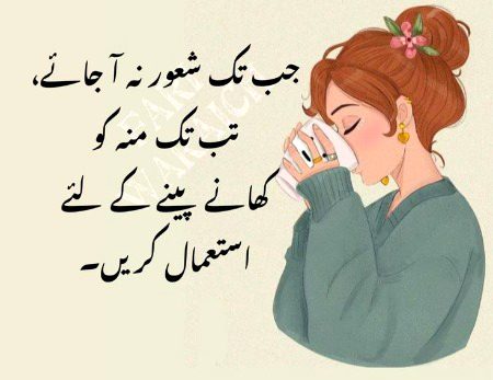 🪷🌷🌹🌺🪄...