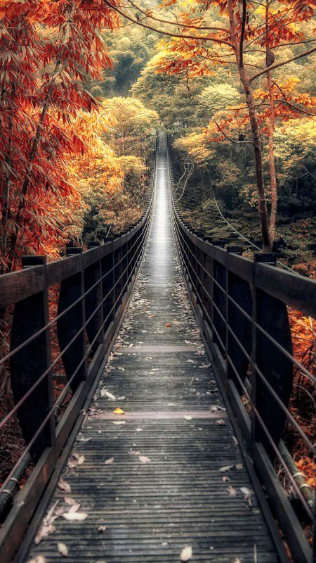 Beautiful Nature image