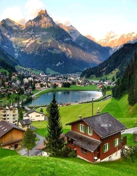 The Alps, Switzerland 💚💚💚💚
