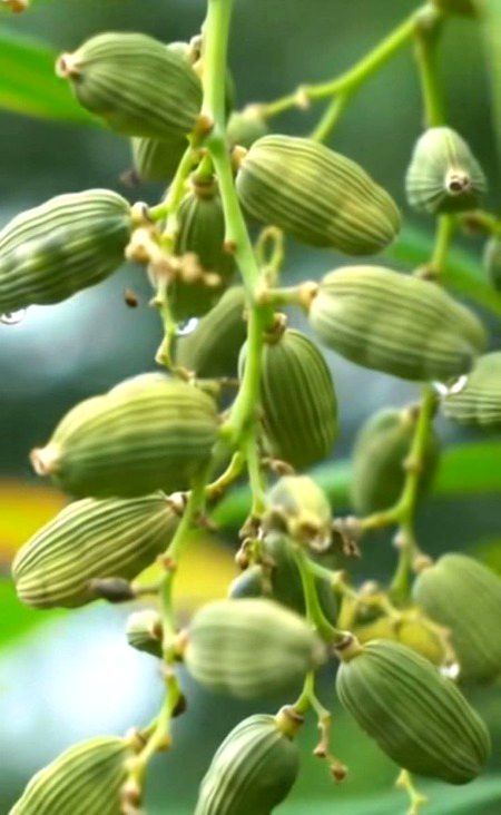 Beautiful Nature image