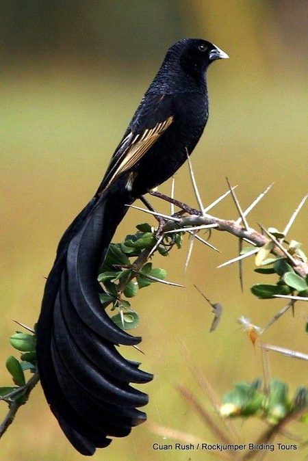 Beautiful Nature image