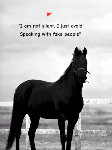 Attitude Quotes image