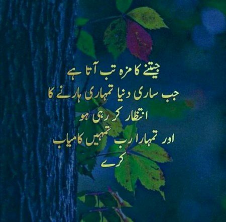 Islamic Quotes image