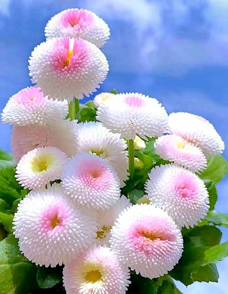 Beautiful Nature image
