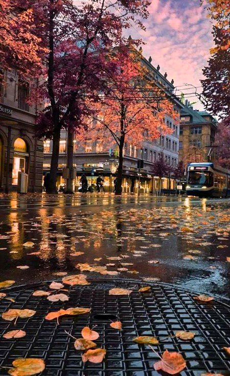 Beautiful Nature image