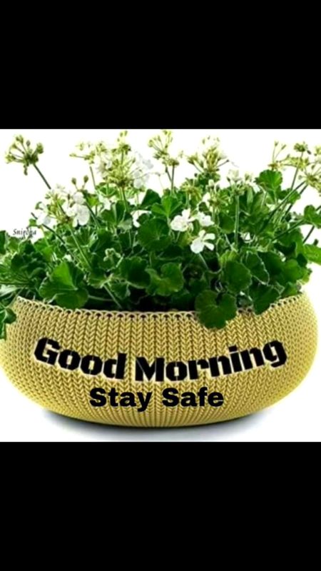 Morning beautiful people