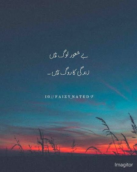 🍁Zoq_Shab🍁