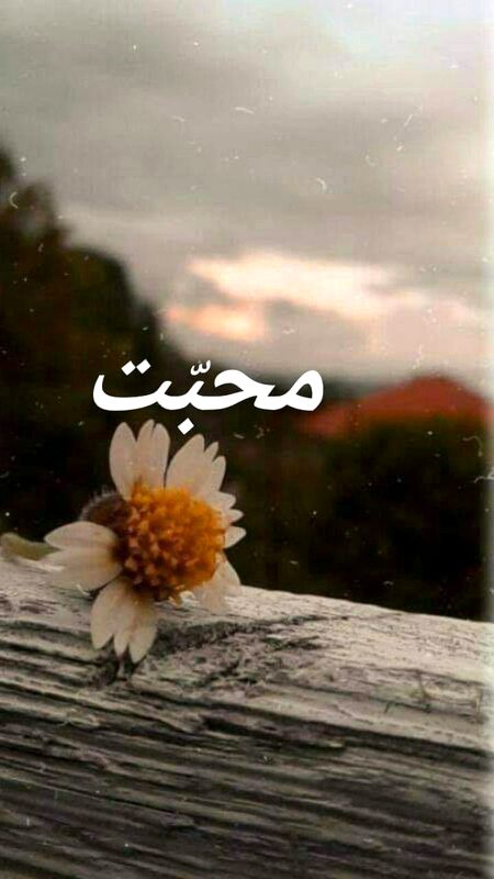 چھاؤں میں کسی کی جب
تیز دھوپ جیسی اک دوپَہر میسر ھو!
اس سمے میں کیا تم نے
خود کو اس کی آنکھوں کے دشت سے گزارا ھے؟
کیا کسی نے بھی اب تک تم کو اپنی سانسوں سےجسم میں اتارا ھے۔۔۔۔۔؟
دیکھ کر بتاؤ نا
جس جگہ پہ بیٹھے ھو
ھے وہاں کوئی ایسا
ھے کوئی میرے جیسا؟