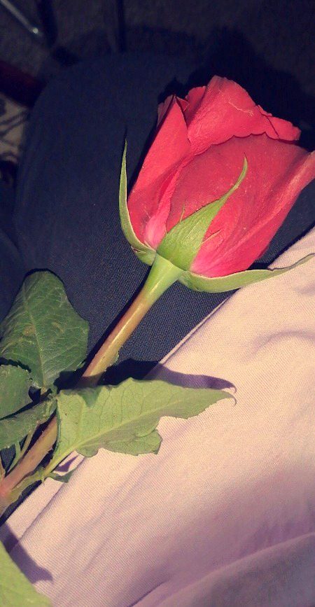 Beautiful Nature image