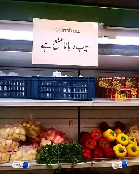 @Kashif_Rajpoot
