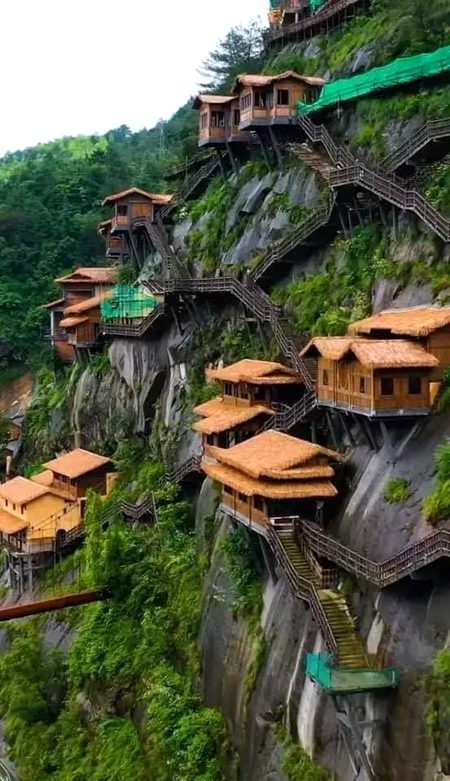 Beautiful Nature image