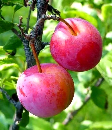 Beautiful Nature image