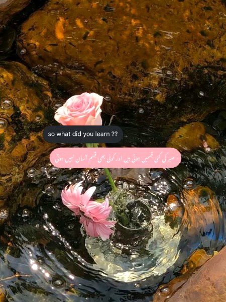 Life Advice image