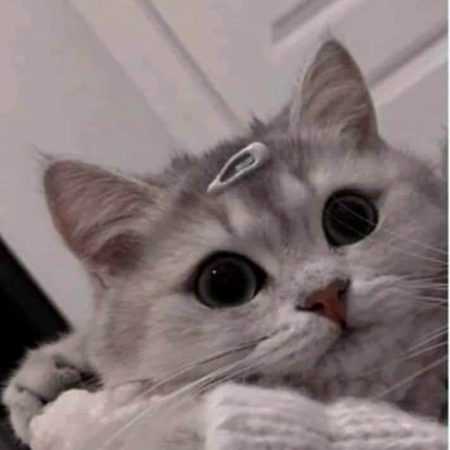 Beautiful Nature image