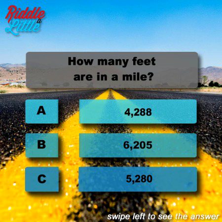 Knowledge Test image