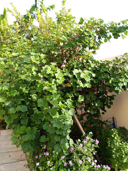 Beautiful Nature image