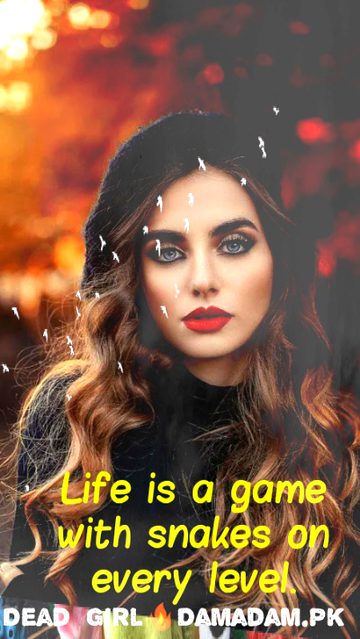 Attitude Quotes image