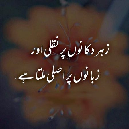 Sad Poetry image