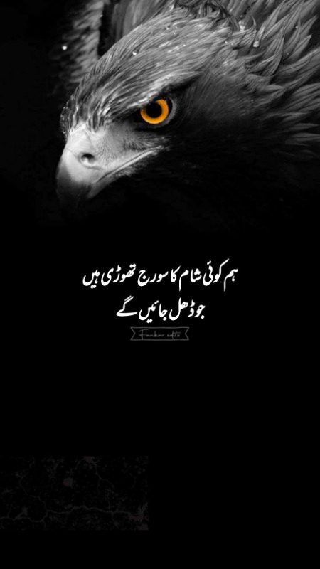Attitude Poetry image