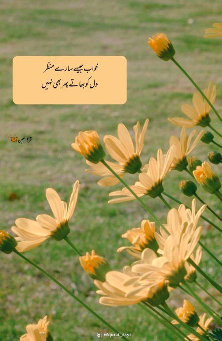 Romantic Poetry image